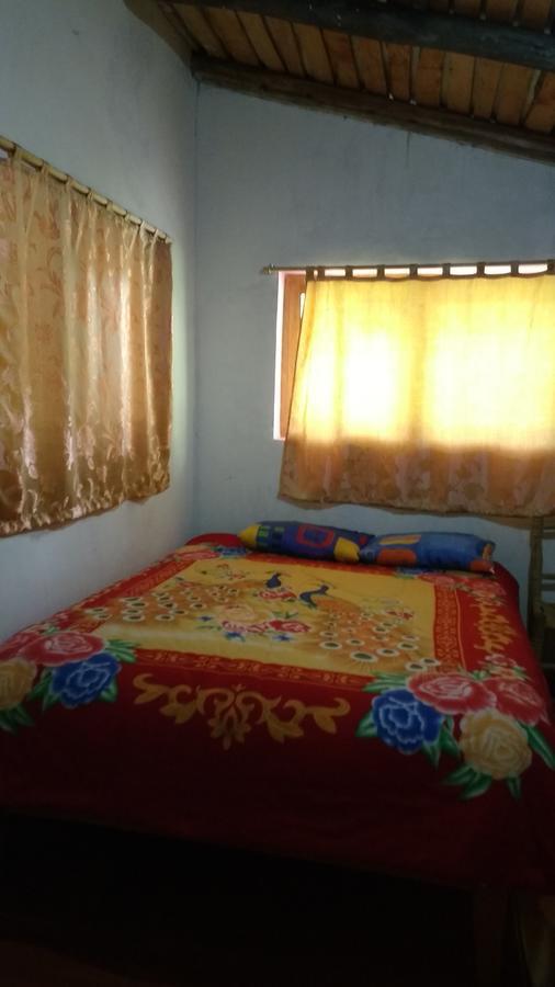 Illariy Lodge *