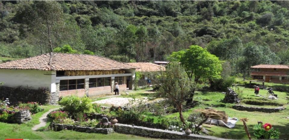 Illariy Lodge Yanama