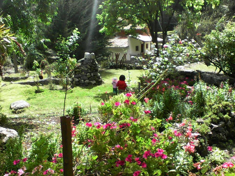 Lodge Illariy Yanama